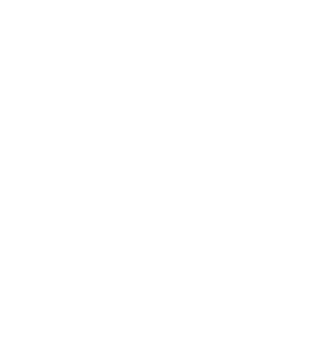 logo_msccargo_rgb_w_2017_HighRes